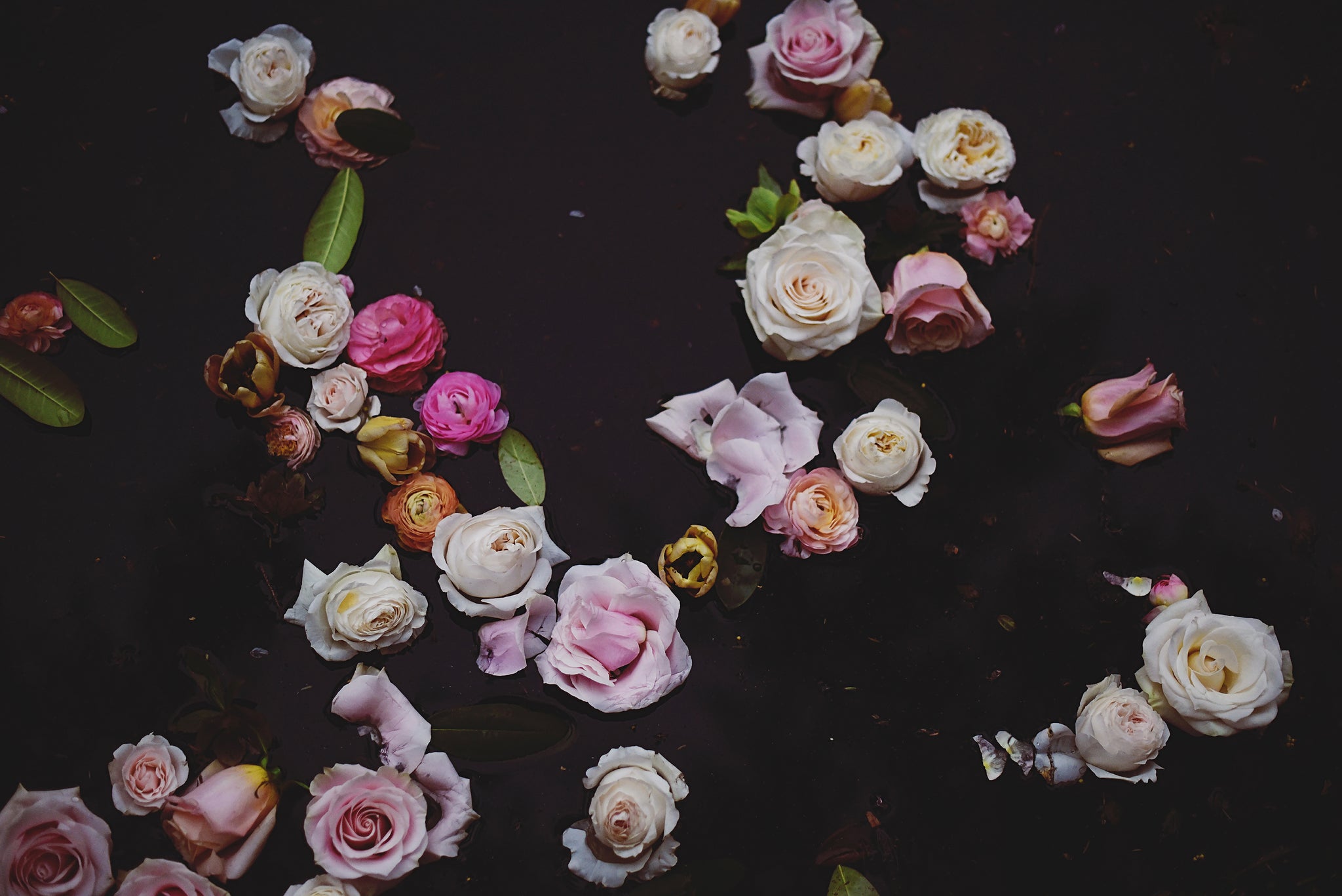 Hospice | PALTmed, image size:2048x1367